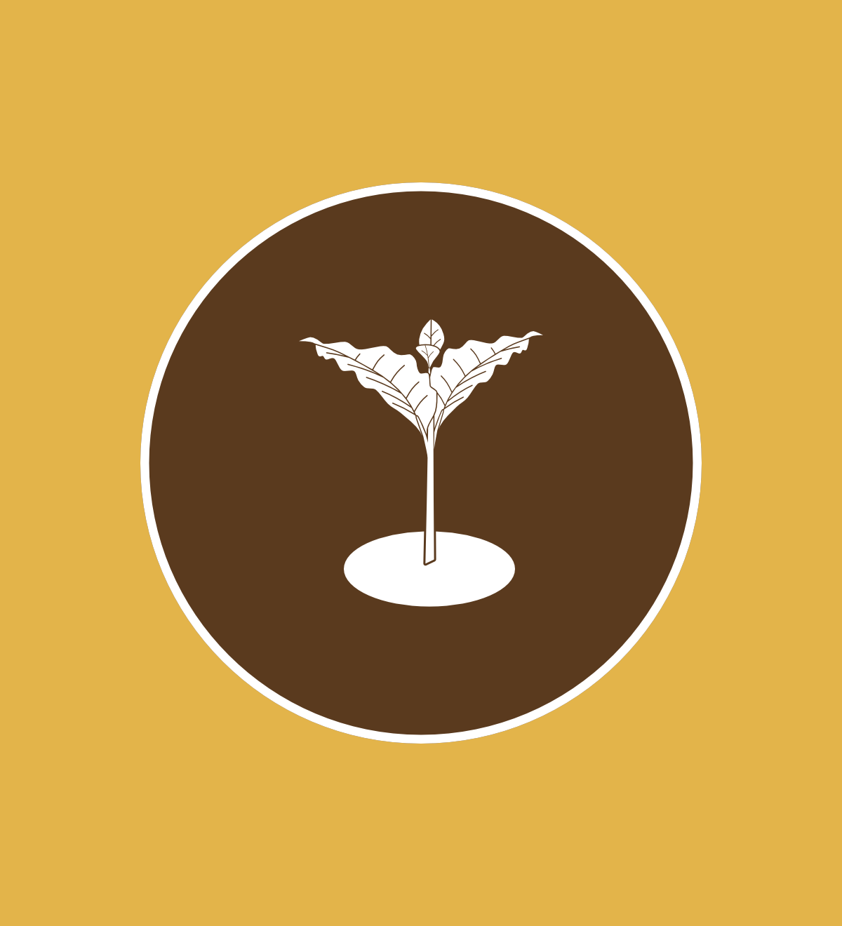 Seed to Cup Fundamentals